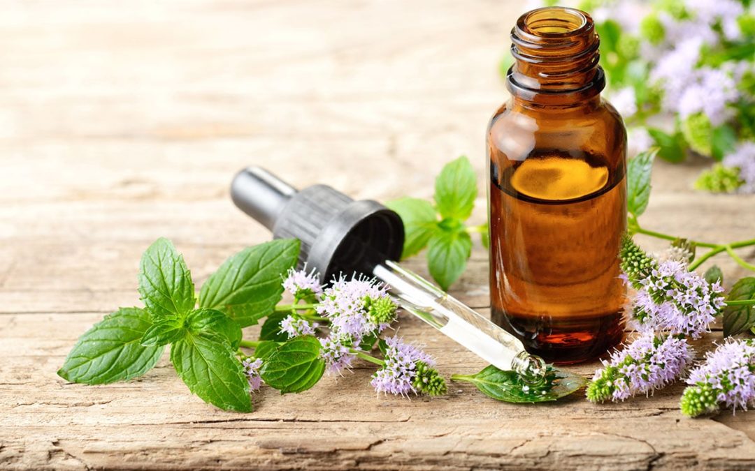 A Comprehensive Guide by Essential Oil Wizardry