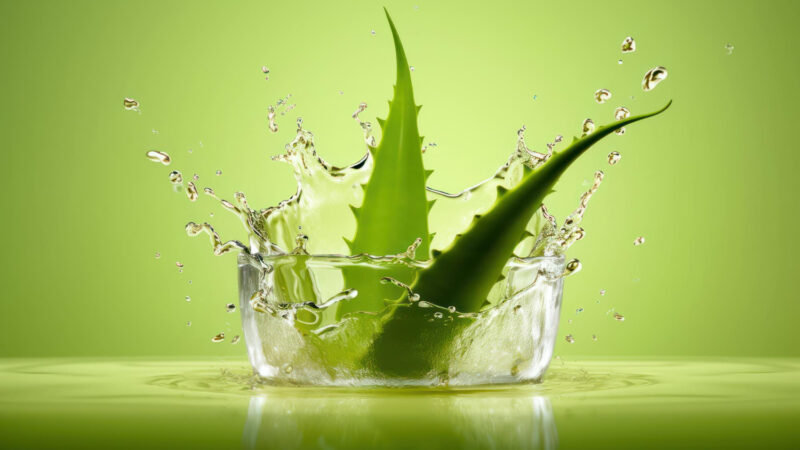 Aloe Vera: The Ultimate Guide to Botanical Extracts 