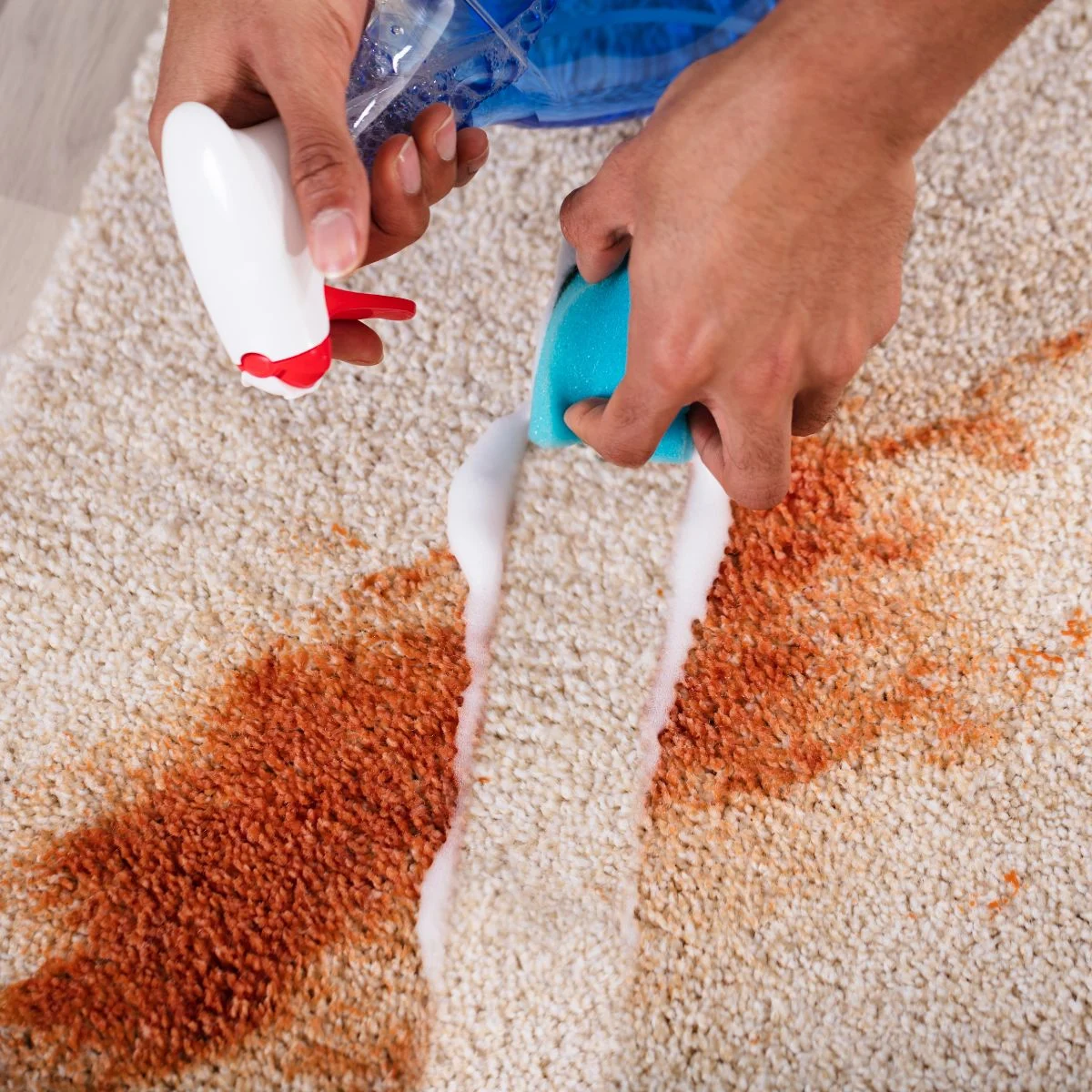 The Ultimate Guide to Carpet Stain Removal: Tips Tricks and Techniques