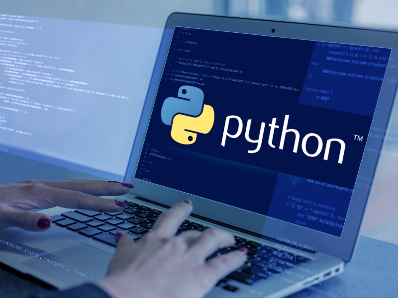 Code Crafters: How Our Python Developers Are Redefining Innovation