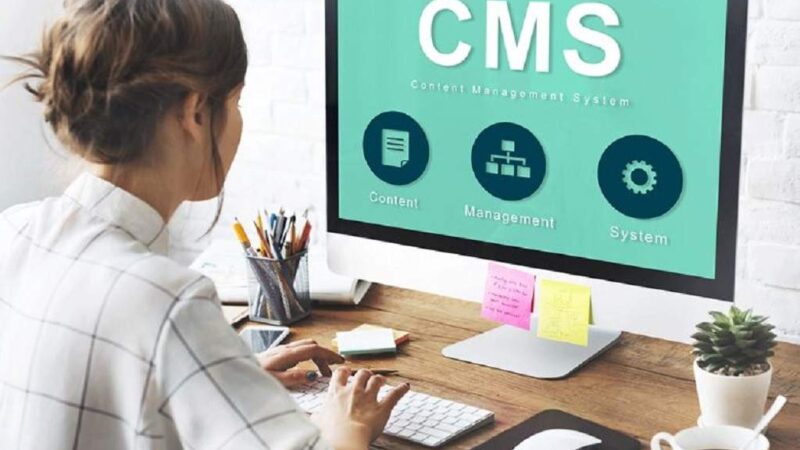 Professional CMS Development Services in Greensboro 2024