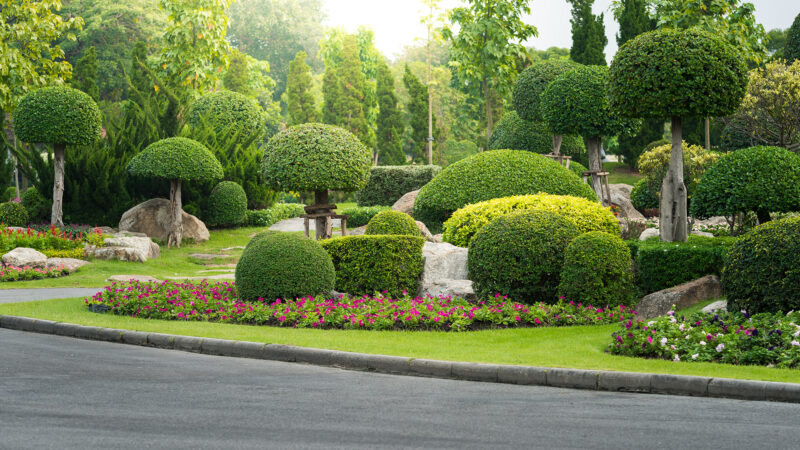 Budget Friendly Landscaping Services Quality Without Compromise