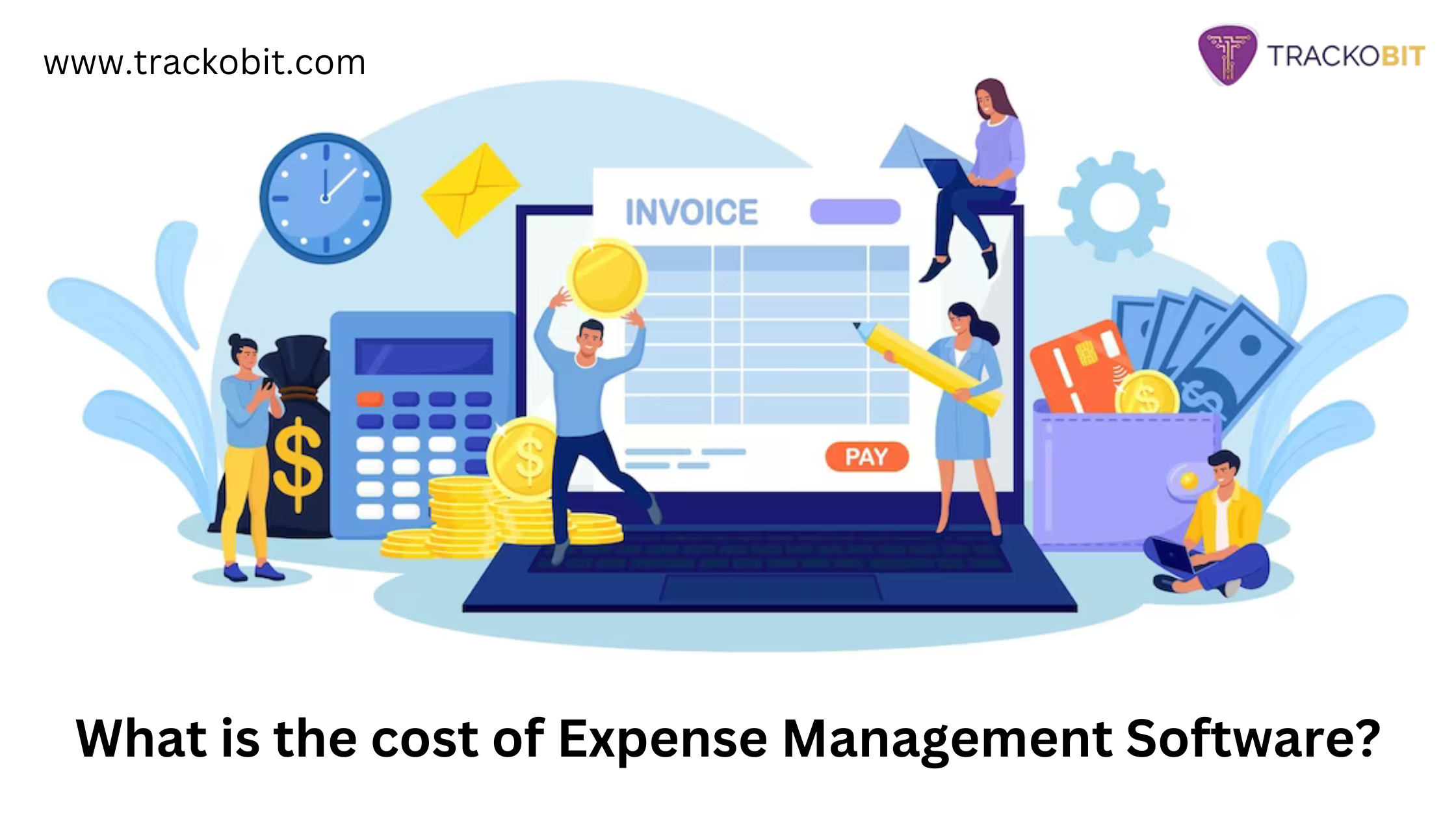 How much Does Expense Management Software Cost? Get an Overview!