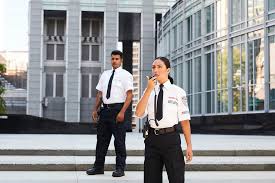 Watchful Eyes: The Role of Security Guards in Los Angeles