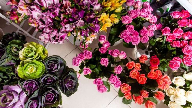 How to Pick the Ideal Melbourne Flower for Any Occasion?